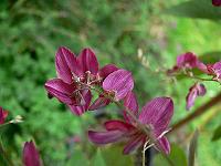 05-09-2007_11-14-08_32