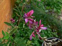 07-08-2007_17-07-38_31