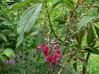 18-08-2007_12-36-17_34