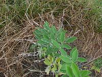 2011-08-12_07-37-23_0022