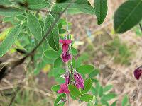 2011-08-24_09-26-26_0062