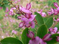 2011-08-24_15-16-14_0056