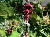 01-08-2007_16-47-10_51