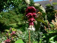 01-08-2007_16-47-25_55