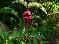 07-08-2007_19-56-05_29