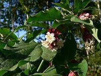 2009-08-22_07-43-51_0101