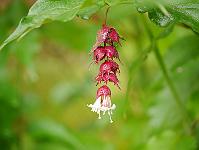 2012-10-04_09-00-25_0020