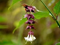 2012-10-06_13-16-26_0193