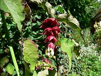 31-07-2007_15-45-59_49
