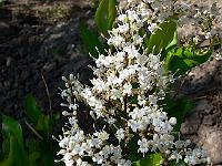 2008-06-05_07-58-58_0004