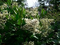 2009-07-26_14-58-37_0017