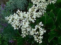 2009-07-31_07-51-00_0023
