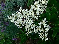 2009-07-31_07-51-07_0026