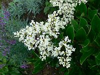 2009-07-31_07-51-24_0028