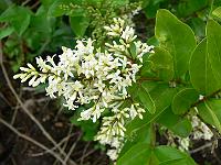 2011-07-15_09-56-09_0066