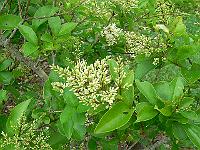 2011-07-15_09-57-01_0079