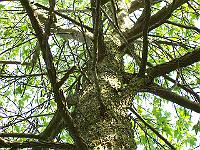 07-06-05kodak_059
