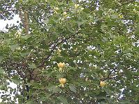 p1010061