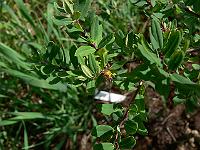 2011-06-10_14-00-25_0056