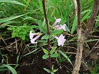 2011-06-30_11-09-43_0026