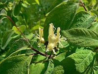 2010-06-02_11-12-20_0097
