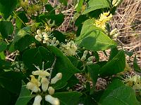 2011-05-10_18-11-29_0154