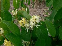 2011-05-11_07-30-18_0088