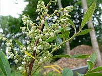 2008-07-06_09-09-44_0012