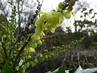 19-01-2007_12-36-11_14