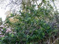 01-05-2006_07-41-20_81