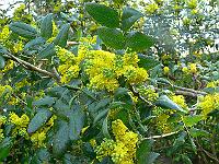 07-05-2006_09-23-51_30