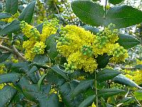 07-05-2006_09-23-58_32