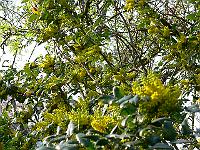 07-05-2006_19-14-57_157