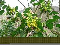 30-04-2006_10-49-31_41