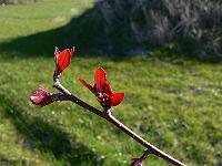 2010-04-19_07-29-49_0079