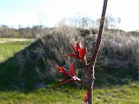 2010-04-19_07-29-58_0082