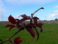2010-05-05_07-59-53_0058