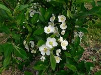 2011-05-11_07-16-19_0028