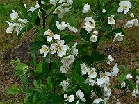 2011-05-17_09-55-11_0056