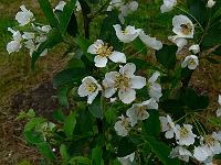 2011-05-17_09-55-21_0059