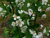 2011-05-17_09-55-21_0060