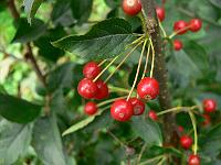 2011-09-14_09-04-48_0130