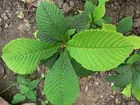 2008-09-20_09-22-10_0061