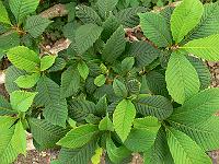 2008-09-20_09-22-54_0070