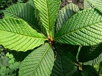 2008-09-20_15-00-07_0016
