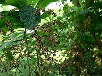 2010-07-31_11-05-58_0018