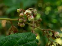 2010-07-31_11-06-40_0025