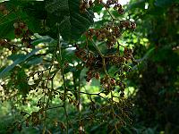 2010-08-02_07-46-37_0019