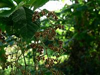 2010-08-02_07-46-52_0023