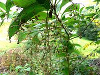 2010-10-04_11-46-29_0006